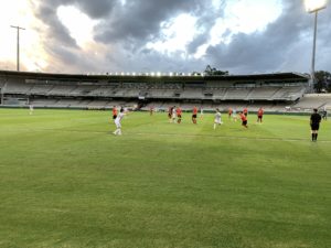 IMG_1982